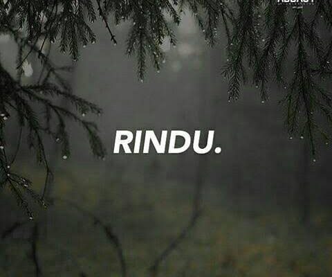 7 TAHUN PENUH RINDU