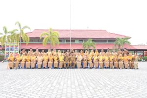 PASS 12